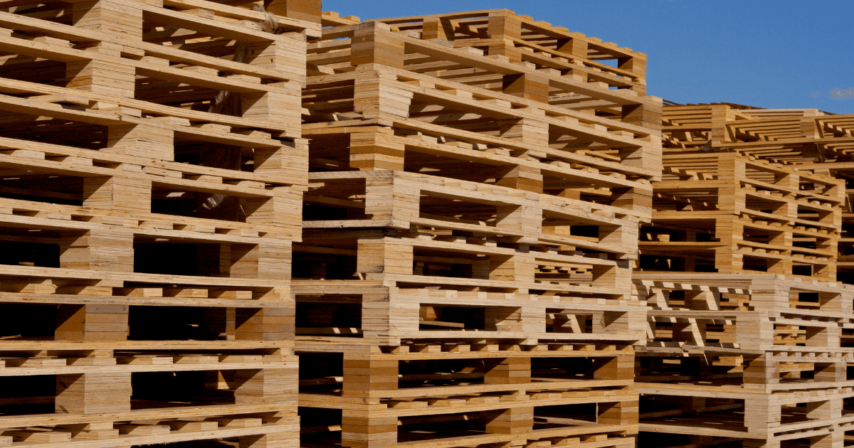 tarimas y pallets